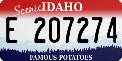 ID license plate E207274