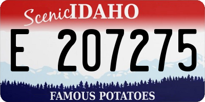 ID license plate E207275