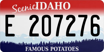 ID license plate E207276