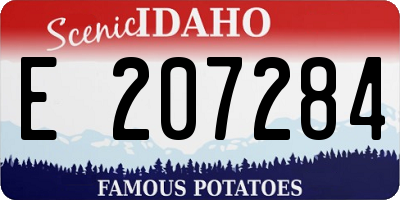 ID license plate E207284