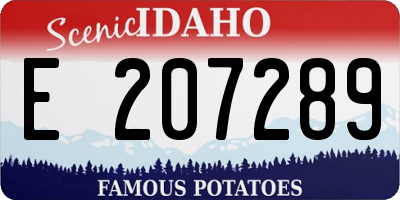 ID license plate E207289