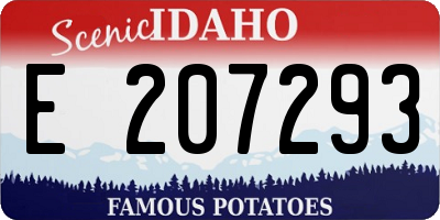 ID license plate E207293