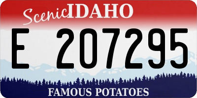 ID license plate E207295