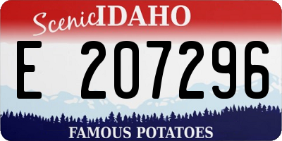 ID license plate E207296