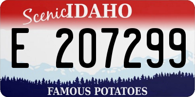 ID license plate E207299