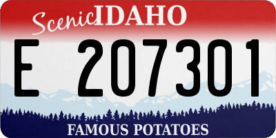 ID license plate E207301