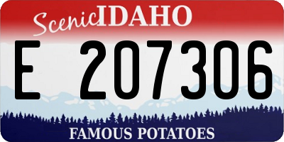 ID license plate E207306