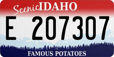 ID license plate E207307