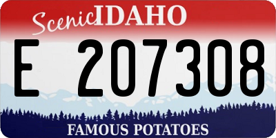ID license plate E207308