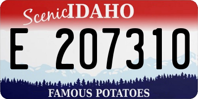 ID license plate E207310