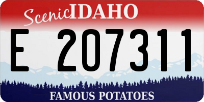 ID license plate E207311