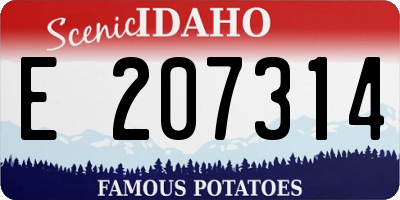 ID license plate E207314