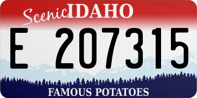 ID license plate E207315