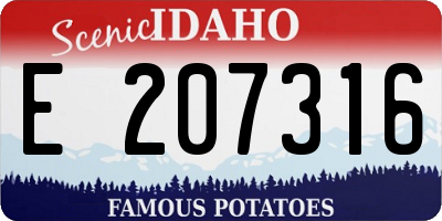 ID license plate E207316