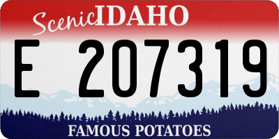 ID license plate E207319