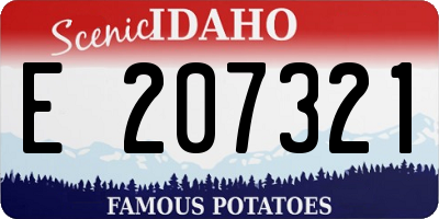 ID license plate E207321