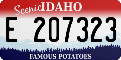 ID license plate E207323