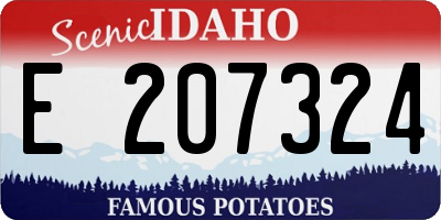 ID license plate E207324