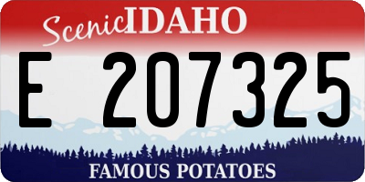 ID license plate E207325