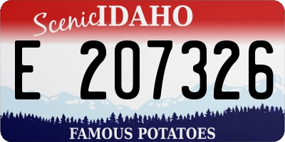 ID license plate E207326