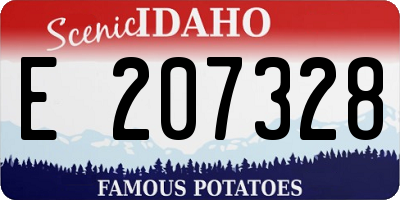 ID license plate E207328