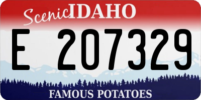 ID license plate E207329