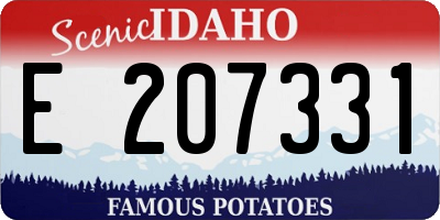 ID license plate E207331
