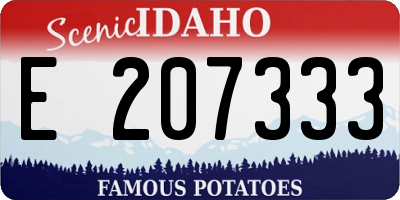 ID license plate E207333