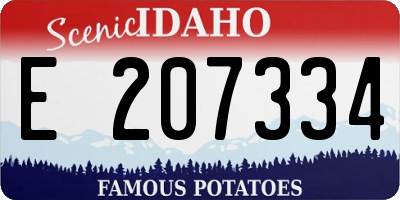 ID license plate E207334