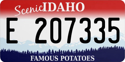ID license plate E207335