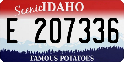 ID license plate E207336