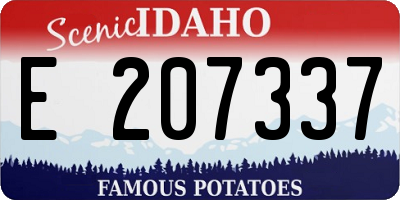 ID license plate E207337