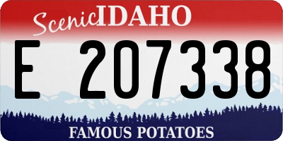 ID license plate E207338