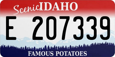 ID license plate E207339
