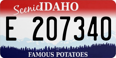 ID license plate E207340