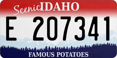 ID license plate E207341