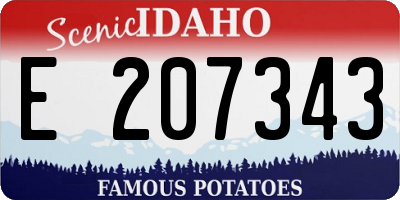 ID license plate E207343