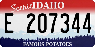ID license plate E207344