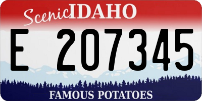 ID license plate E207345