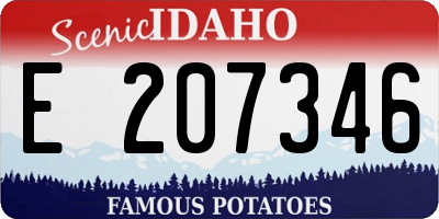 ID license plate E207346