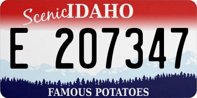 ID license plate E207347
