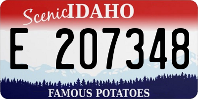 ID license plate E207348