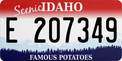 ID license plate E207349