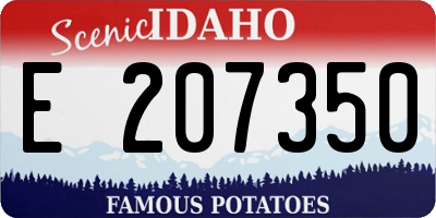 ID license plate E207350