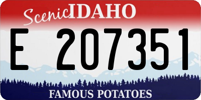 ID license plate E207351