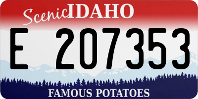 ID license plate E207353