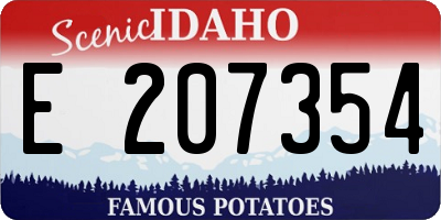 ID license plate E207354