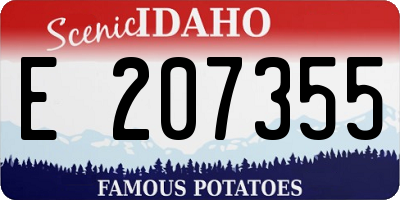 ID license plate E207355