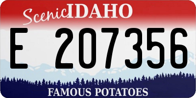 ID license plate E207356