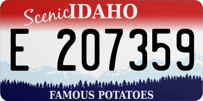 ID license plate E207359